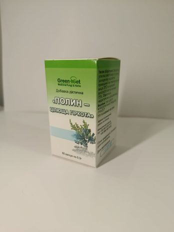«Полин – цілюща гіркота» (Artemisia absinthium)