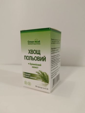 Хвощ – кремнієва броня (Equisétum arvénse)