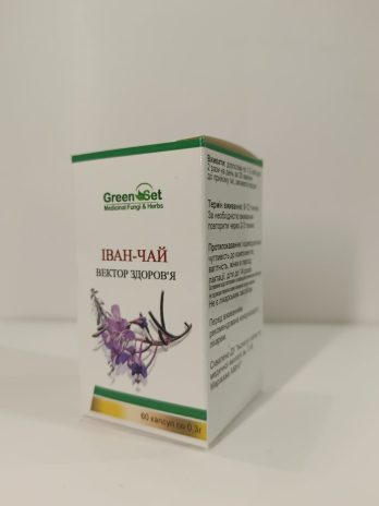 Іван – чай – вектор здоров’я (Chamerion angustifolium)